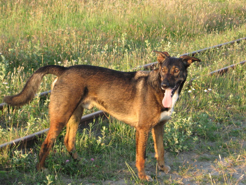 Kwinto; DISPLAY FULL IMAGE.