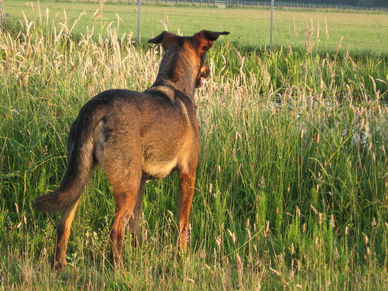 Kwinto; DISPLAY FULL IMAGE.