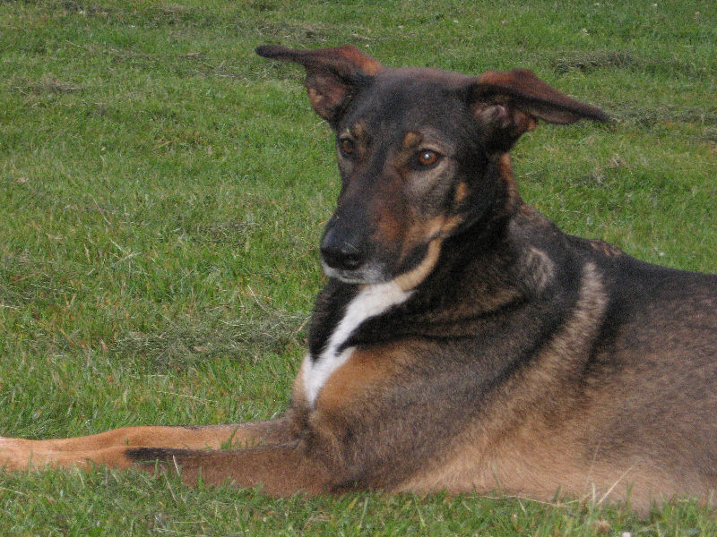 Kwinto; DISPLAY FULL IMAGE.