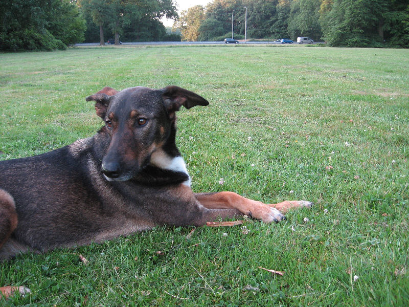 Kwinto; DISPLAY FULL IMAGE.