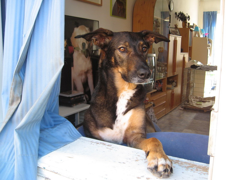 Kwinto; DISPLAY FULL IMAGE.