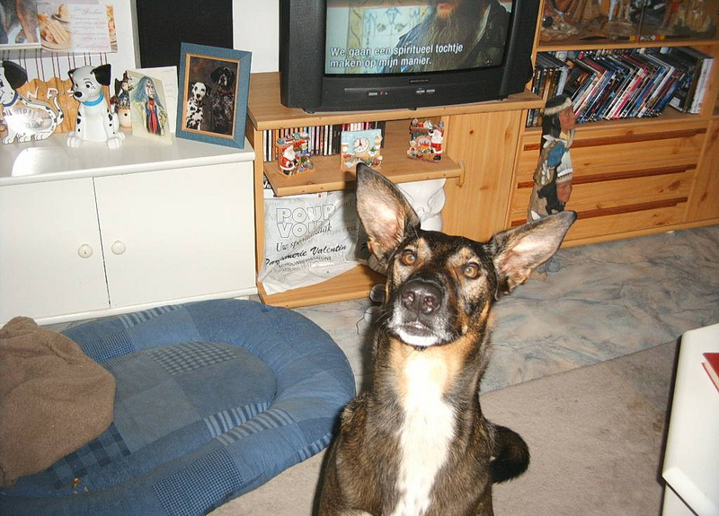 Kwinto; DISPLAY FULL IMAGE.