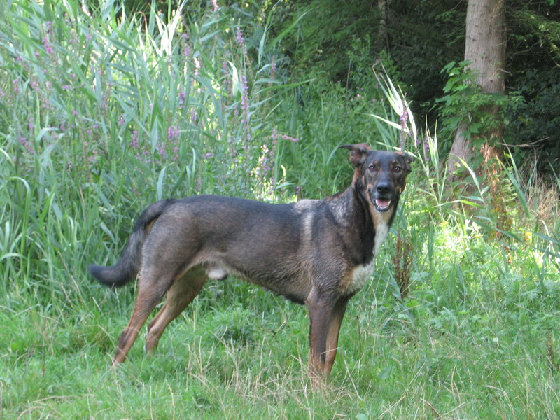 Kwinto; DISPLAY FULL IMAGE.