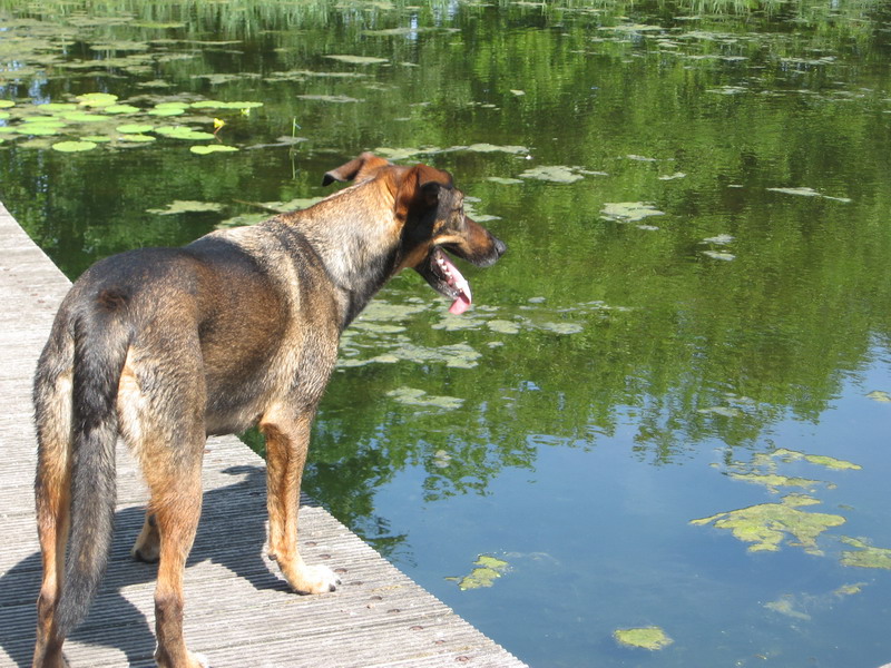 Kwinto; DISPLAY FULL IMAGE.