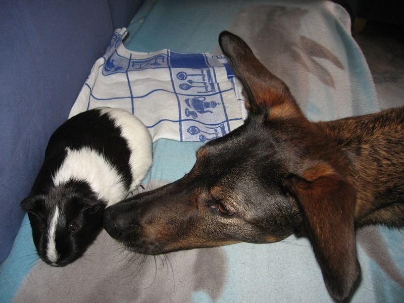 Kwinto & Mandy; DISPLAY FULL IMAGE.