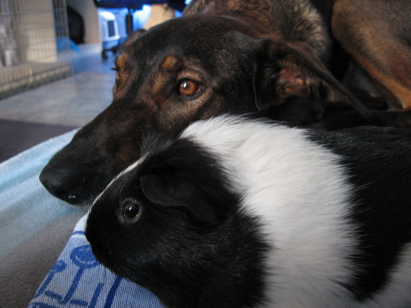 Kwinto & Mandy; DISPLAY FULL IMAGE.