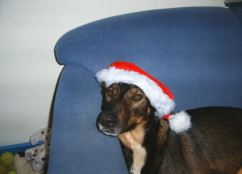 Kwinto; DISPLAY FULL IMAGE.