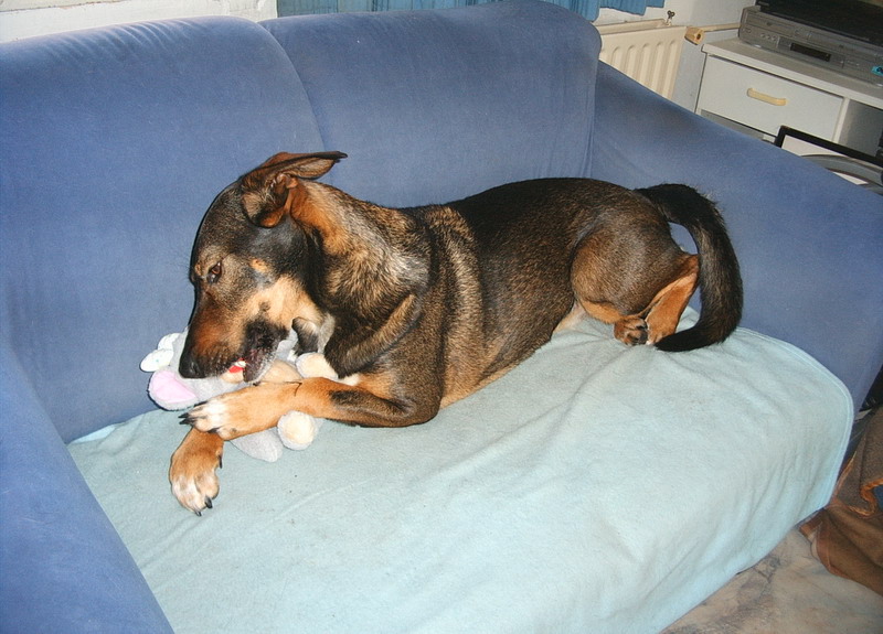 Kwinto; DISPLAY FULL IMAGE.