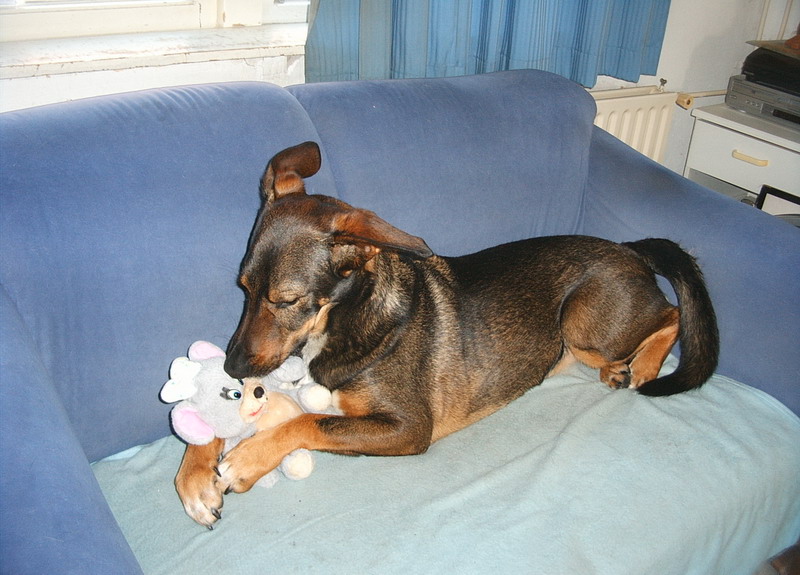 Kwinto; DISPLAY FULL IMAGE.