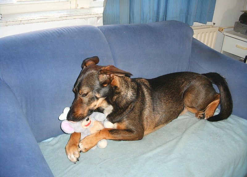 Kwinto; DISPLAY FULL IMAGE.