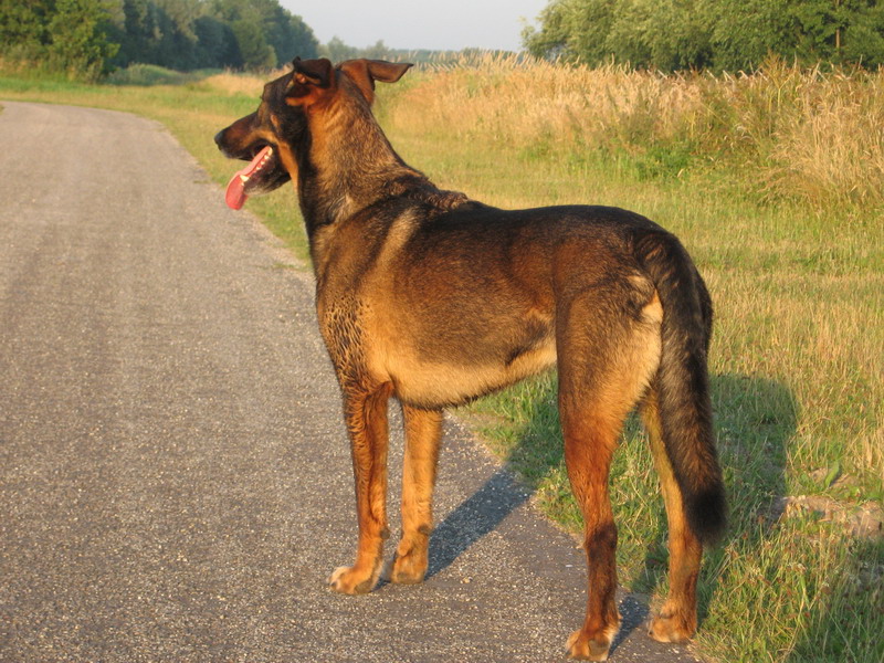 Kwinto; DISPLAY FULL IMAGE.