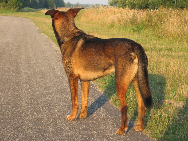 Kwinto; DISPLAY FULL IMAGE.