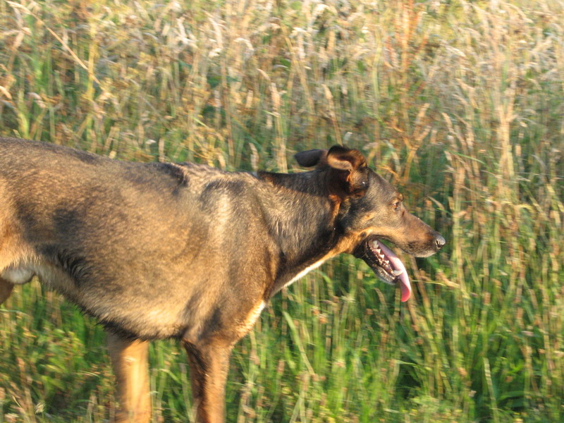 Kwinto; DISPLAY FULL IMAGE.