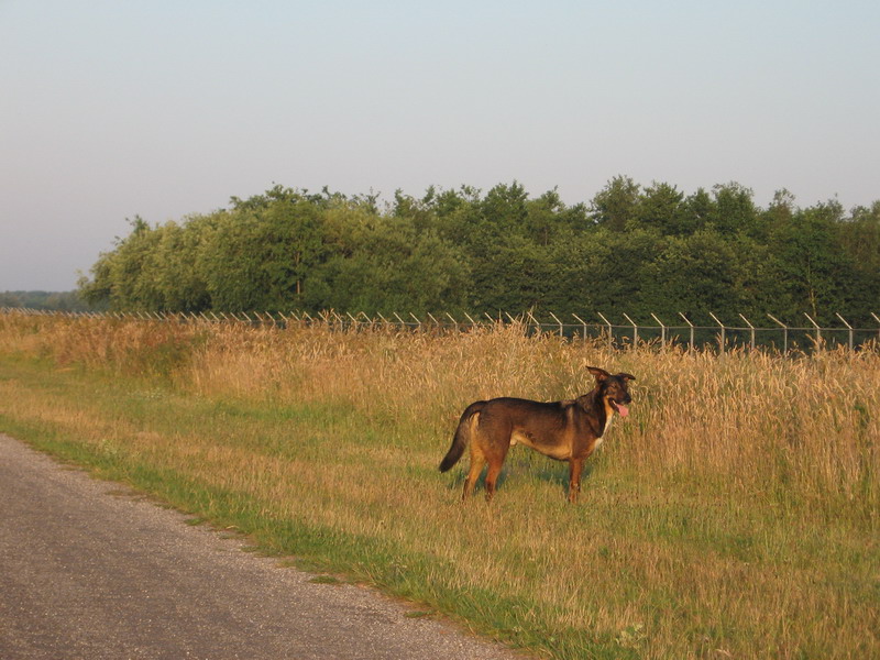 Kwinto; DISPLAY FULL IMAGE.