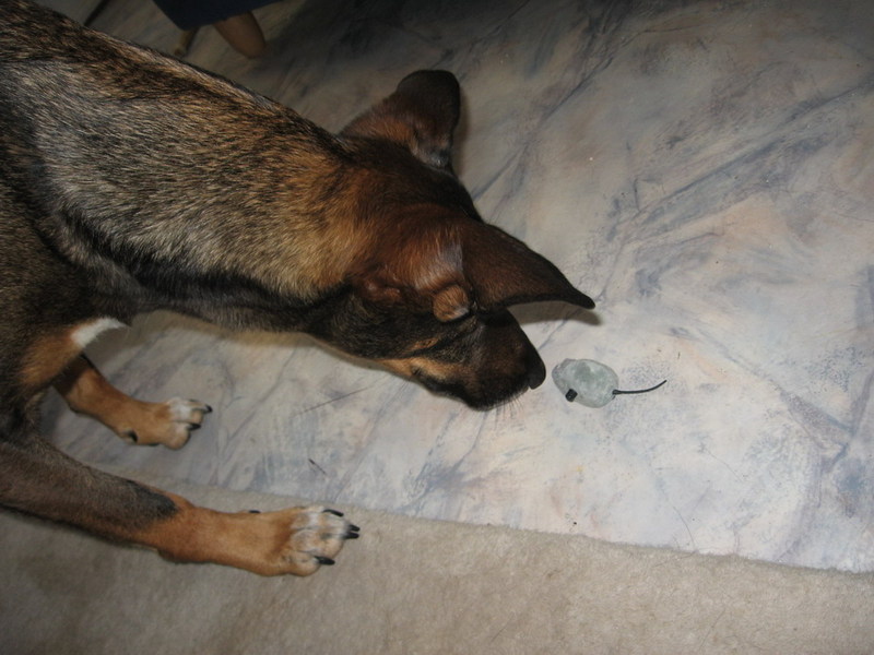 Kwinto; DISPLAY FULL IMAGE.