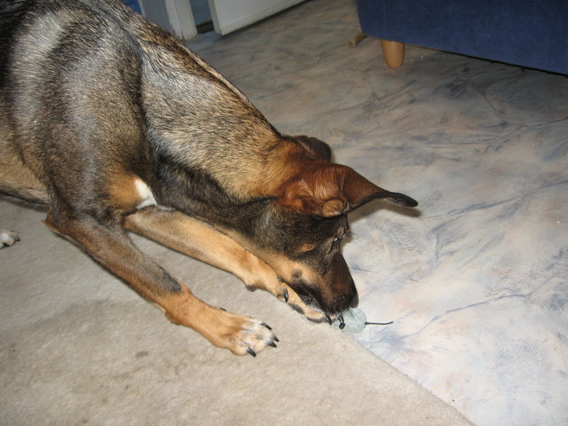 Kwinto; DISPLAY FULL IMAGE.