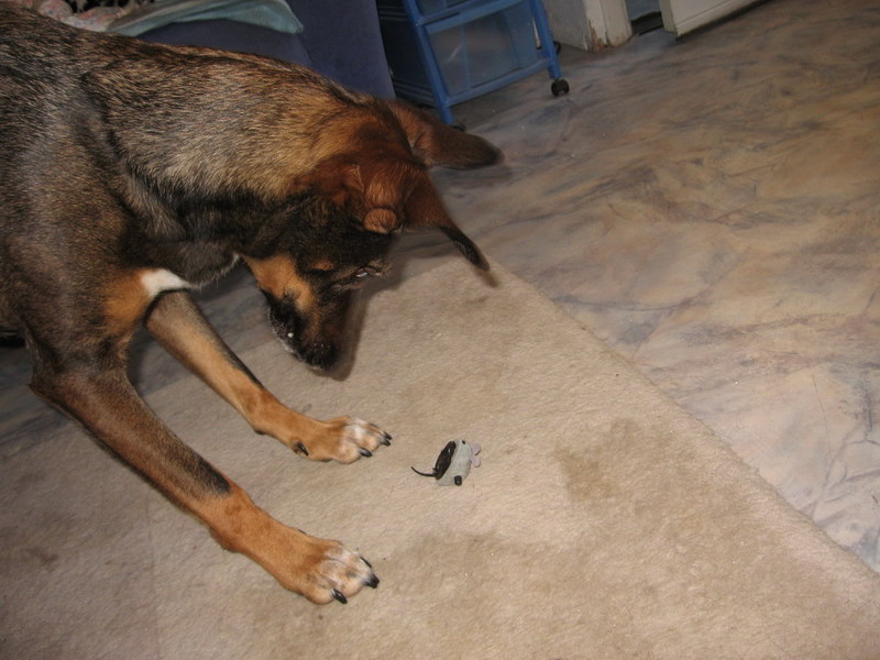 Kwinto; DISPLAY FULL IMAGE.