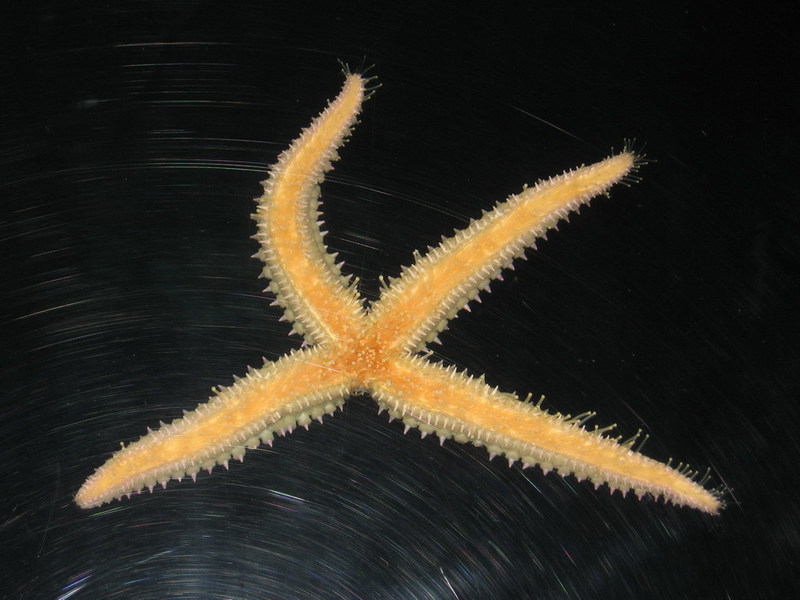 Blijdorp zoo, Rotterdam, Holland; DISPLAY FULL IMAGE.