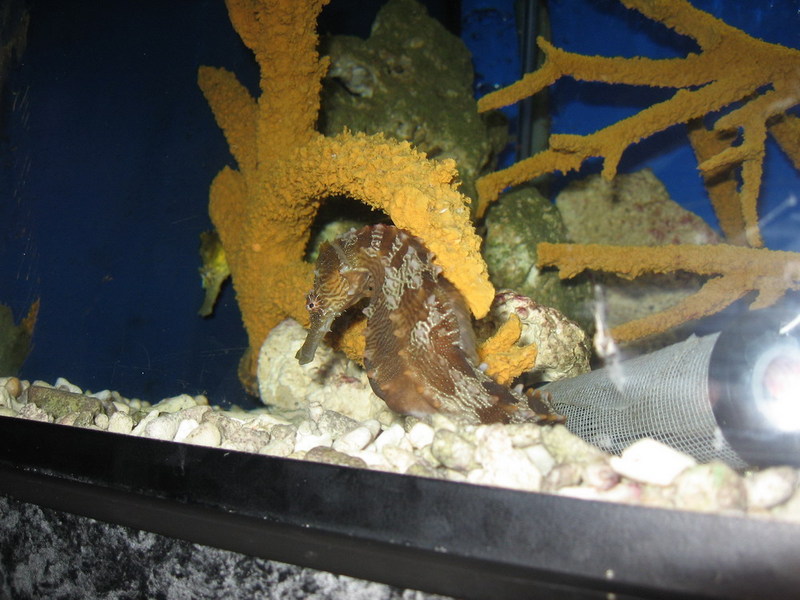 Blijdorp zoo, Rotterdam, Holland; DISPLAY FULL IMAGE.