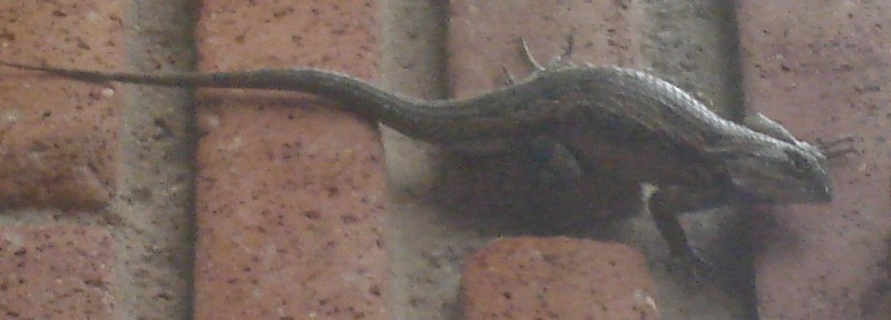 What do I have here?; DISPLAY FULL IMAGE.