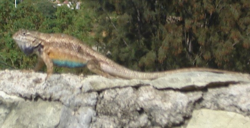 What do I have here?; DISPLAY FULL IMAGE.