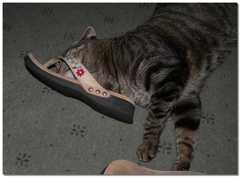 shoe fetish 3; DISPLAY FULL IMAGE.