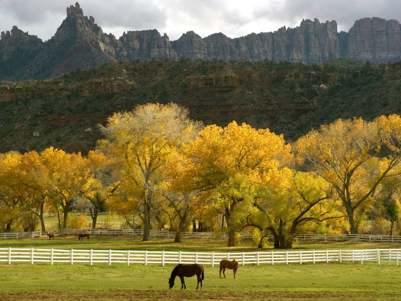 [Daily Photos] Autumn Season in the Country, Utah; DISPLAY FULL IMAGE.