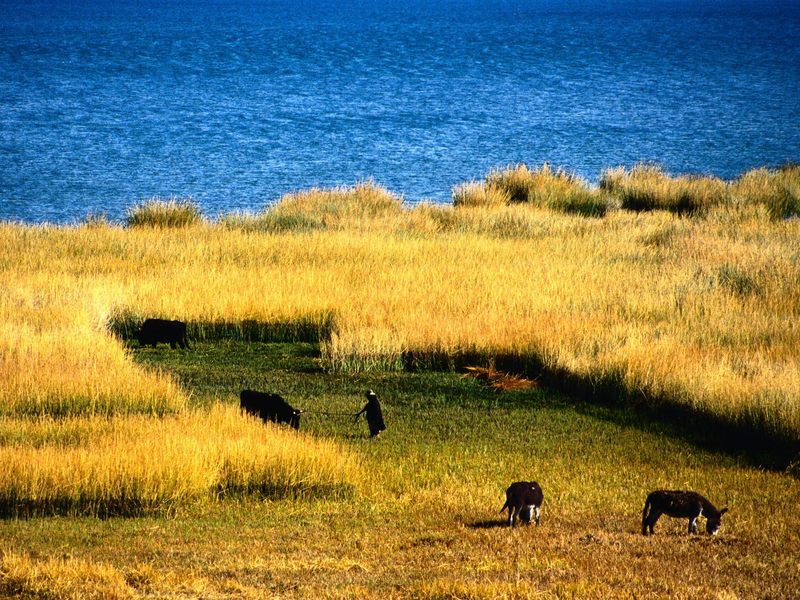 [Daily Photos] Farming Along the Eastern Shore of Lake Titicaca La Paz, Bolivia; DISPLAY FULL IMAGE.