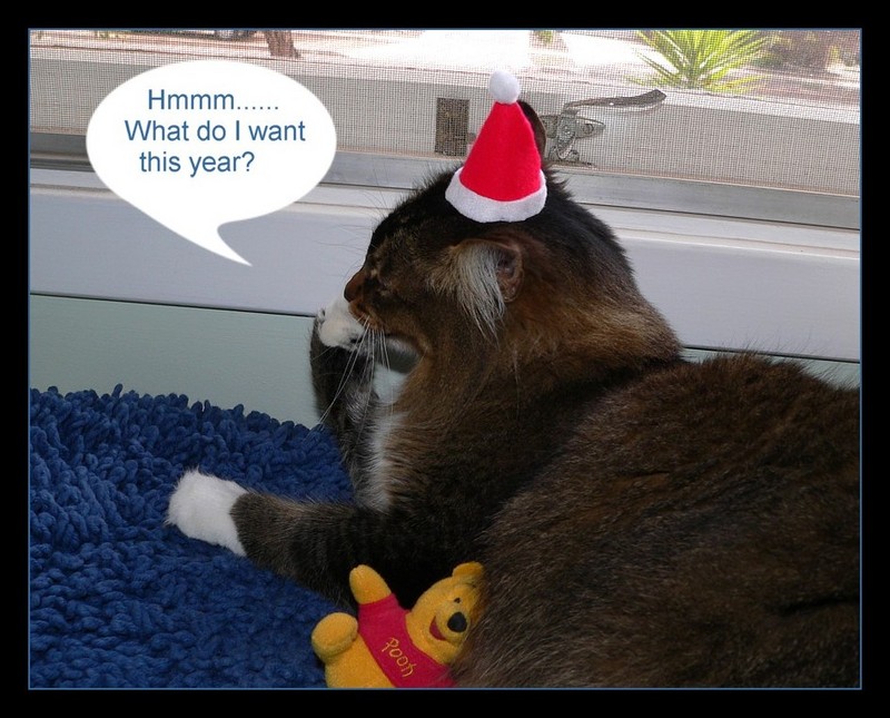 greetings 6; DISPLAY FULL IMAGE.