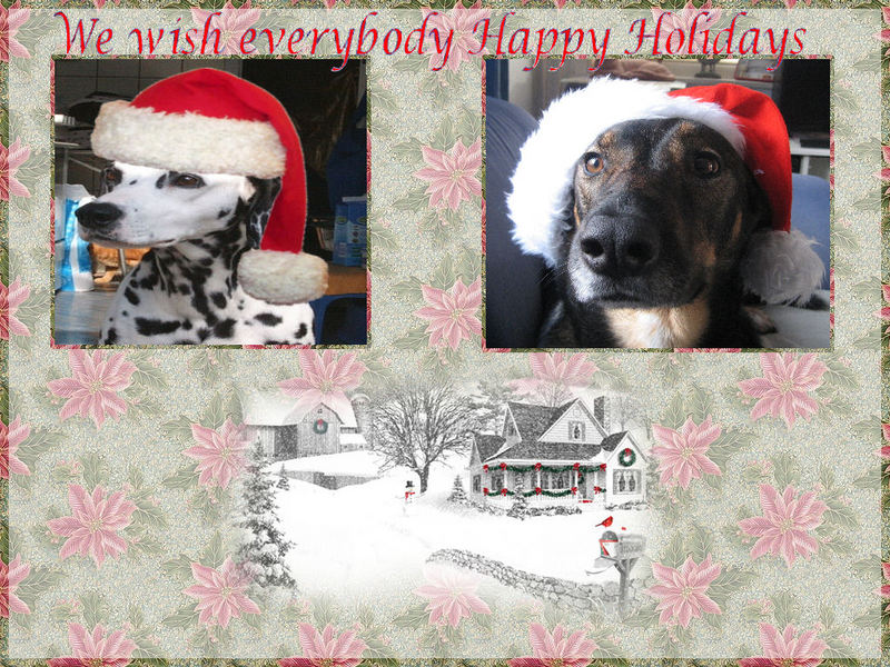 Happy Holidays; DISPLAY FULL IMAGE.