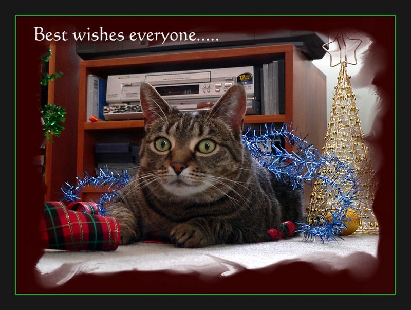 greetings 10; DISPLAY FULL IMAGE.