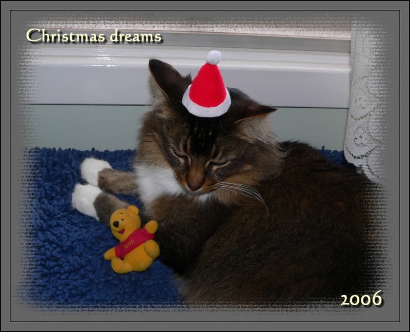 greetings 12; DISPLAY FULL IMAGE.