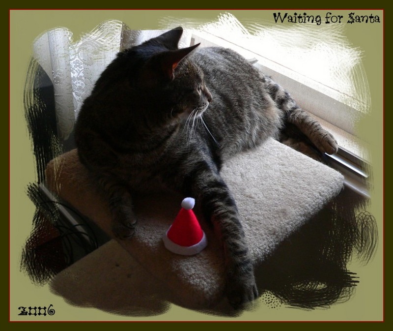 greetings 19; DISPLAY FULL IMAGE.