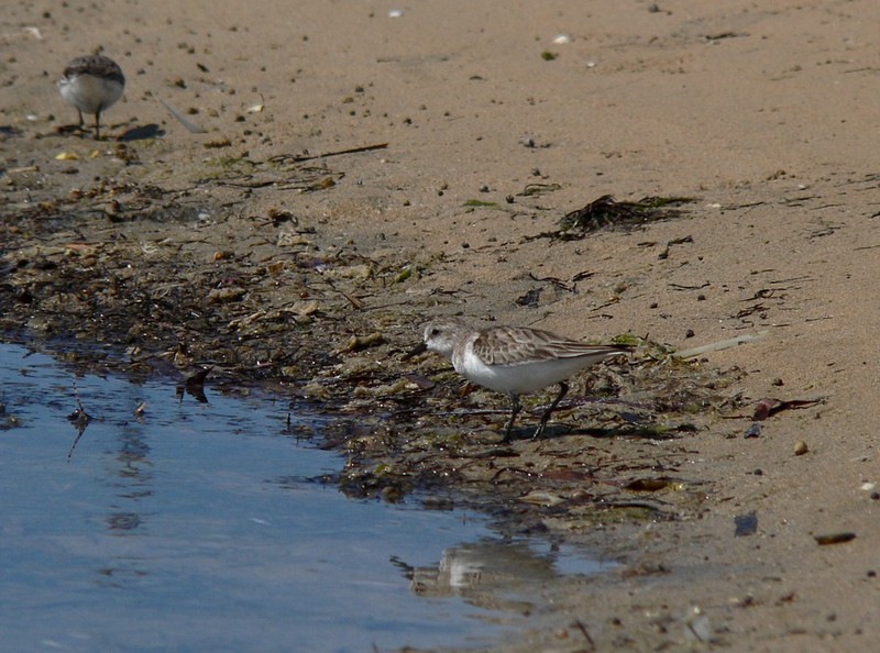 stints 1; DISPLAY FULL IMAGE.