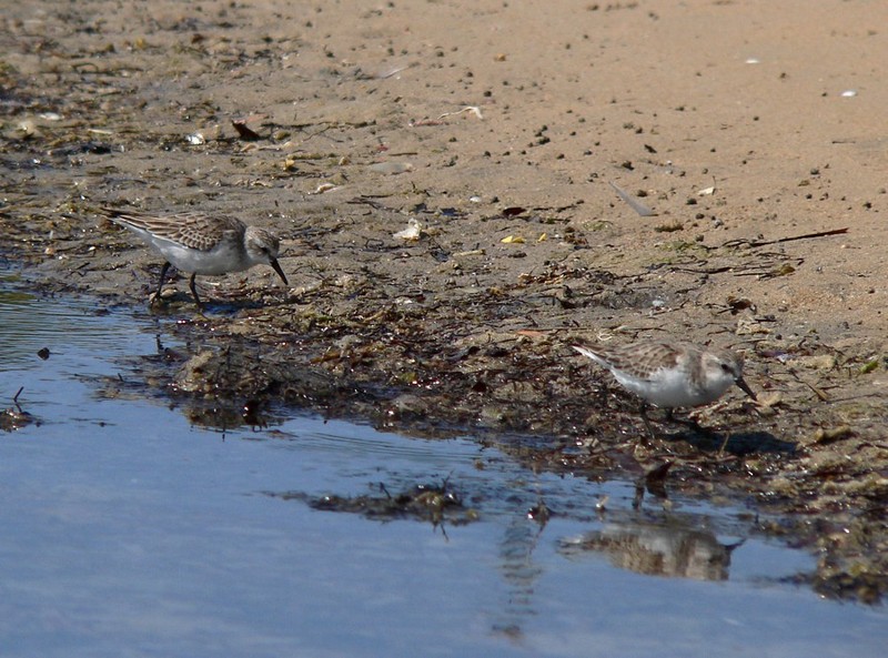 stints 2; DISPLAY FULL IMAGE.