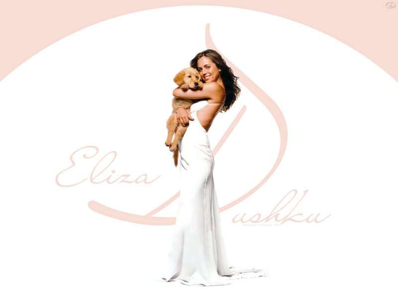 Lady with puppy; DISPLAY FULL IMAGE.
