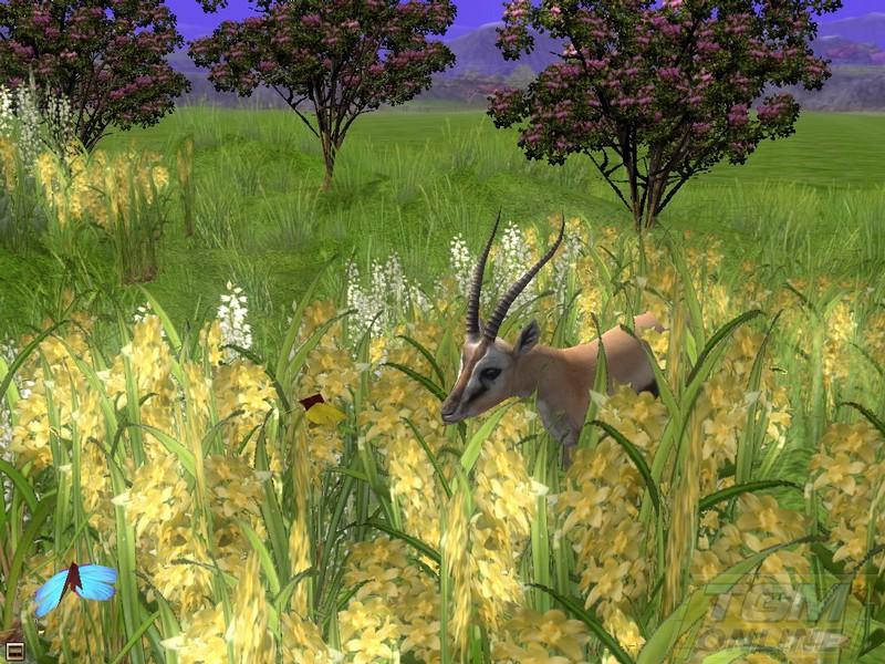 Wildlife park2: crazy zoo gold edition; DISPLAY FULL IMAGE.