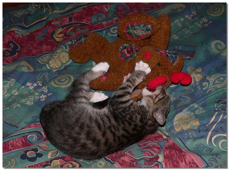 Mickey kickey; DISPLAY FULL IMAGE.