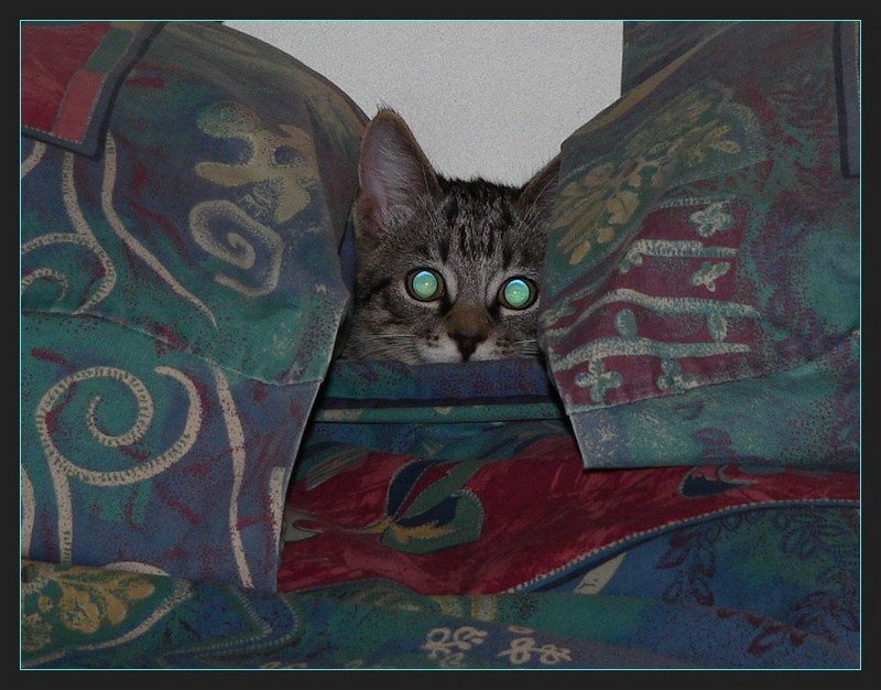 Mickey Monster; DISPLAY FULL IMAGE.