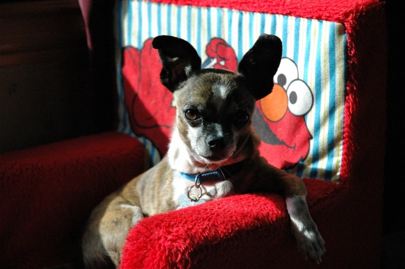 Goliath, Relaxing; DISPLAY FULL IMAGE.