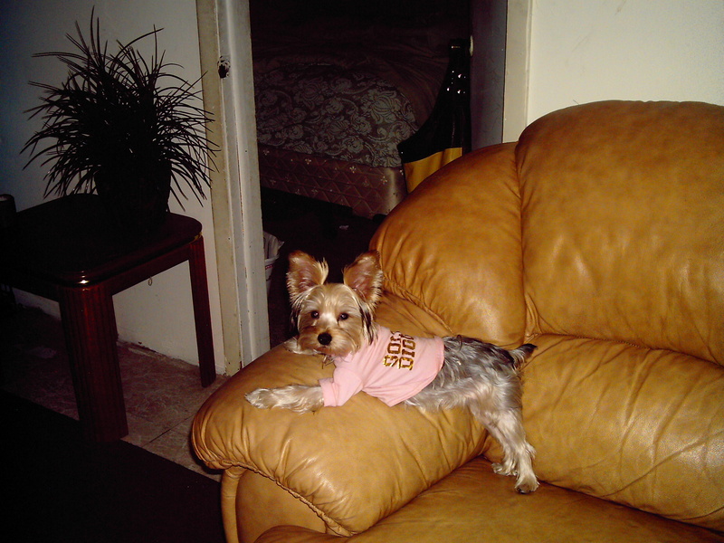 mz.cocoa; DISPLAY FULL IMAGE.
