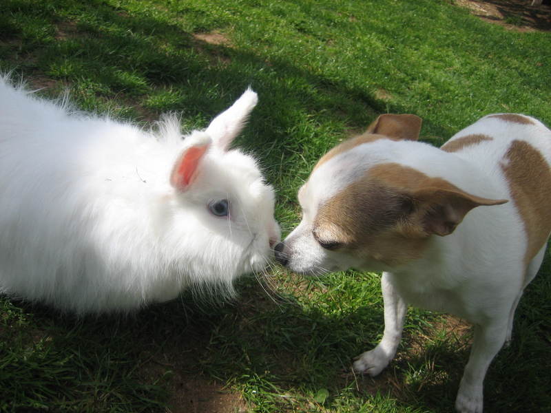 Cute; DISPLAY FULL IMAGE.