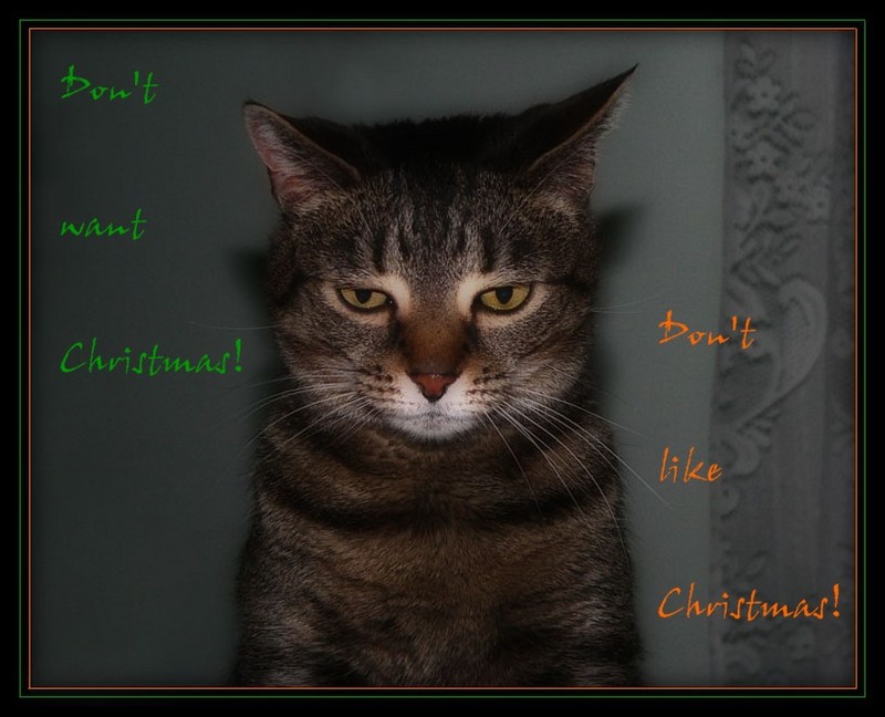 Thoughts on Christmas; DISPLAY FULL IMAGE.