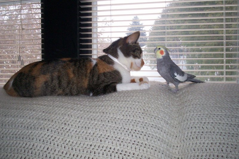 titer and henry; DISPLAY FULL IMAGE.