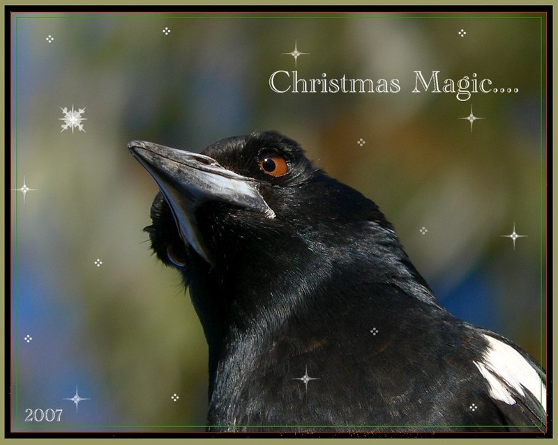 Christmas magic; DISPLAY FULL IMAGE.