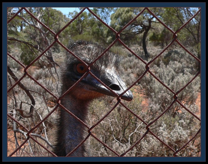 He was looking back to see... 1/3 {!--Emu-->; DISPLAY FULL IMAGE.