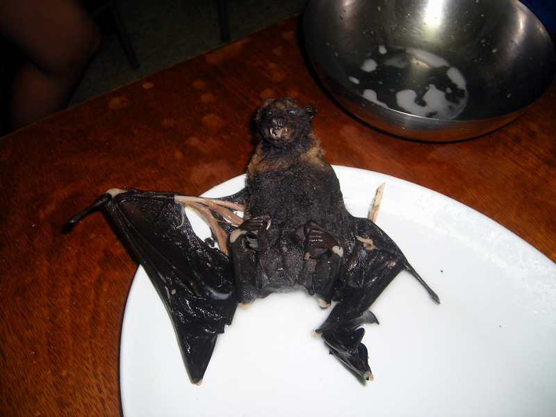 Cooked Flying Fox; DISPLAY FULL IMAGE.