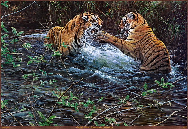 Panthera 0101 - Alan M. Hunt - Manchurian Warriors; DISPLAY FULL IMAGE.