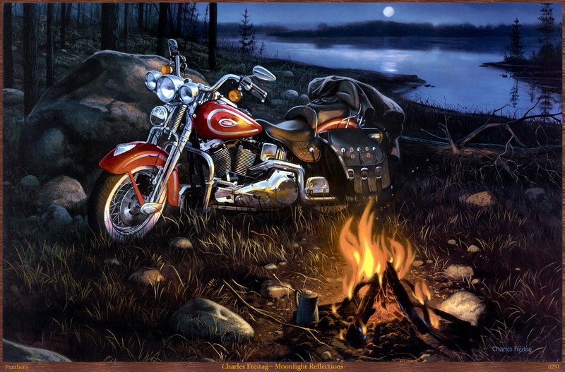 Panthera 0291 -  Charles Freitag - Moonlight Reflections; DISPLAY FULL IMAGE.