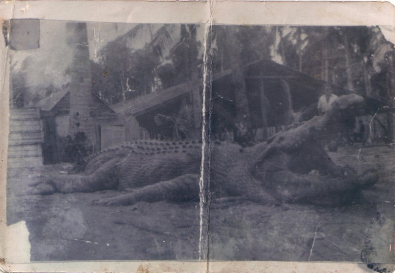 30 ft. croc; DISPLAY FULL IMAGE.